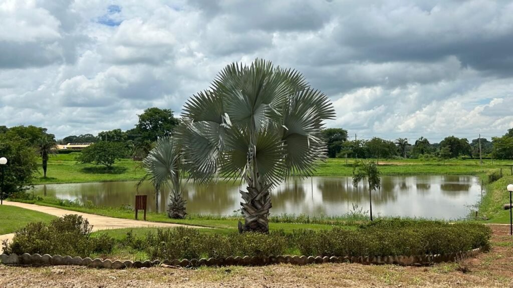 OPORTUNIDADE DUPLA NO CONDOMÍNIO TERRA SANTA GALILÉIA: LOTES EXCLUSIVOS EM TRINDADE — Foto